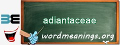 WordMeaning blackboard for adiantaceae